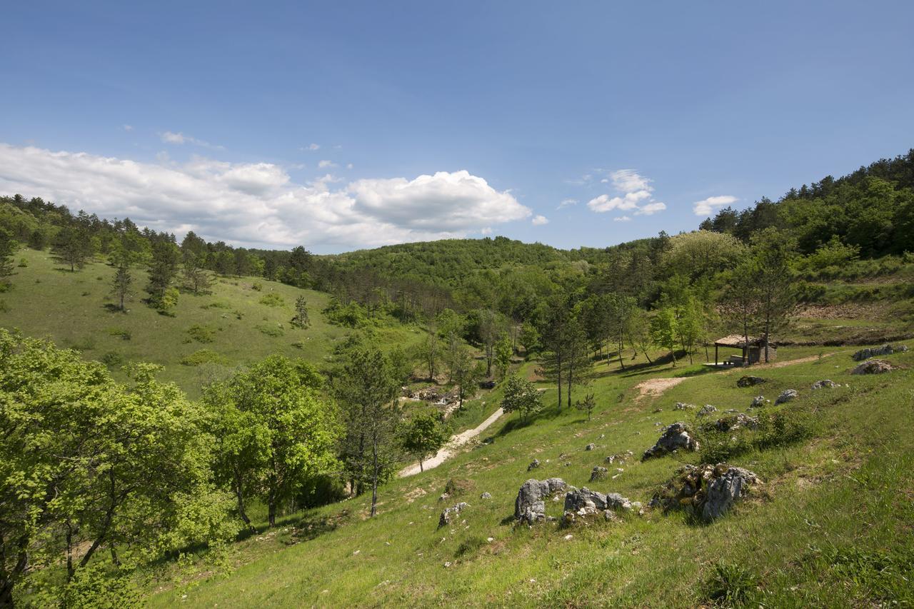 Resort Cize Pazin Bagian luar foto
