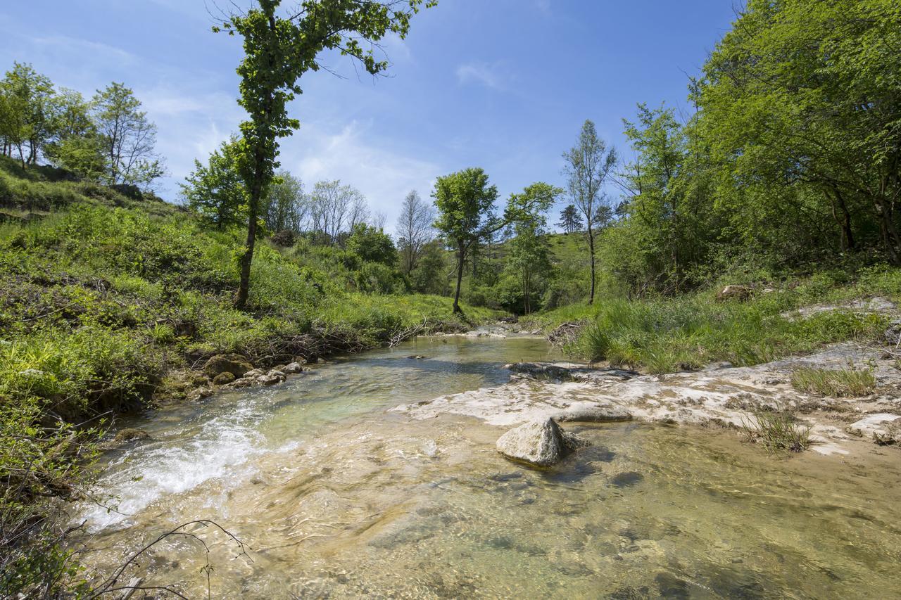 Resort Cize Pazin Bagian luar foto